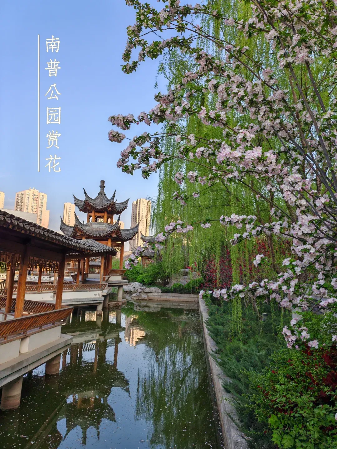 中考倒计时34天!从二模看清化学风向标,找准定位精准提分 第29张
