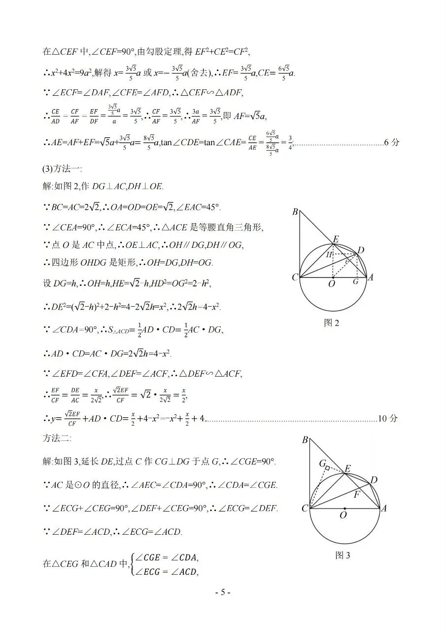 2026年中考适应性考试(长沙县统考)数学试卷及参考答案 第8张