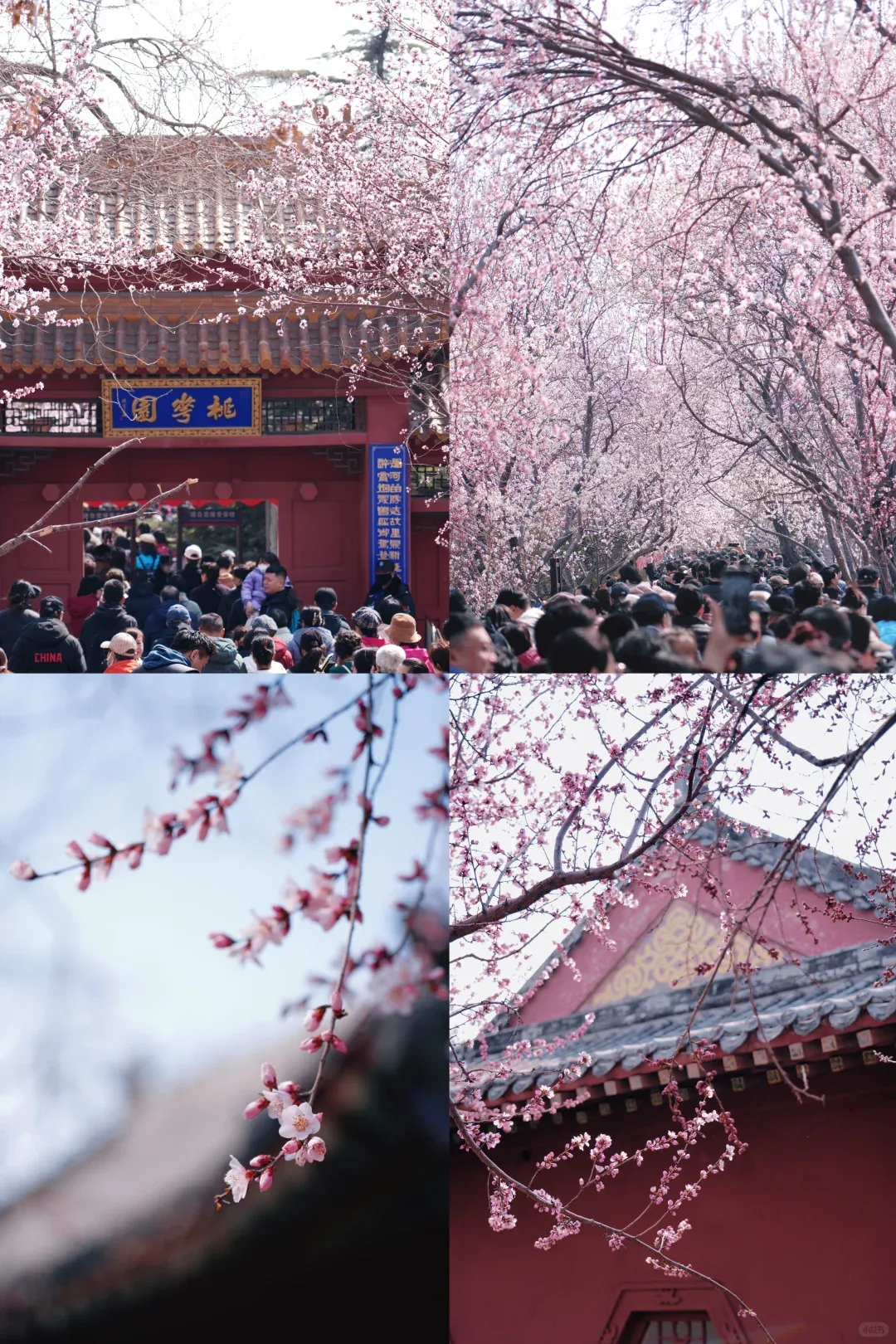 中考倒计时34天!从二模看清化学风向标,找准定位精准提分 第39张