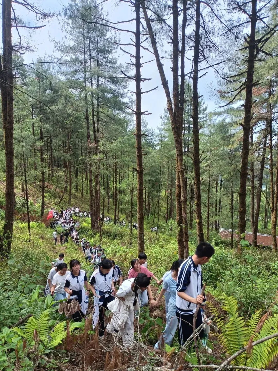 踏歌而行赴山野 砺志拼搏战中考——腾冲市中和中学九年级登顶打鹰山开展励志拓展活动 第16张