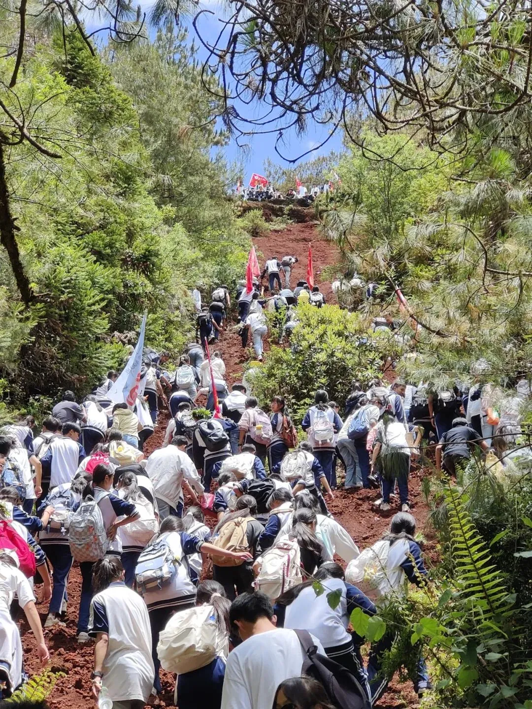 踏歌而行赴山野 砺志拼搏战中考——腾冲市中和中学九年级登顶打鹰山开展励志拓展活动 第34张
