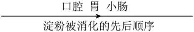 中考选择题专项训练一 第4张 中考选择题专项训练一 第4张