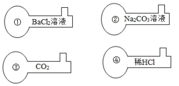 中考选择题专项训练一 第9张 中考选择题专项训练一 第9张
