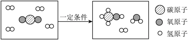 中考选择题专项训练一 第10张 中考选择题专项训练一 第10张