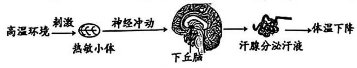 中考选择题专项训练一 第18张 中考选择题专项训练一 第18张