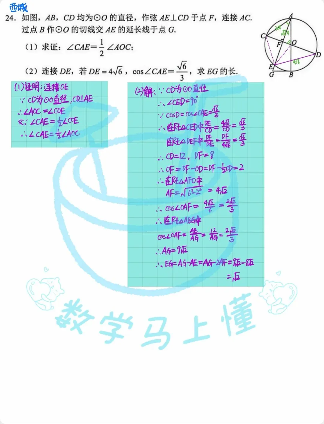 2026北京13区中考一模 圆综汇编(含详解) 第2张