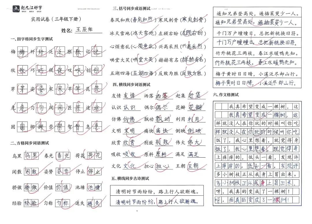【赵九江好字】学员优秀实用试卷展示——二、三年级 第46张 【赵九江好字】学员优秀实用试卷展示——二、三年级 第46张
