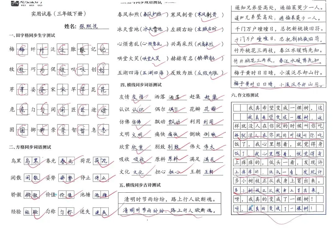 【赵九江好字】学员优秀实用试卷展示——二、三年级 第55张 【赵九江好字】学员优秀实用试卷展示——二、三年级 第55张