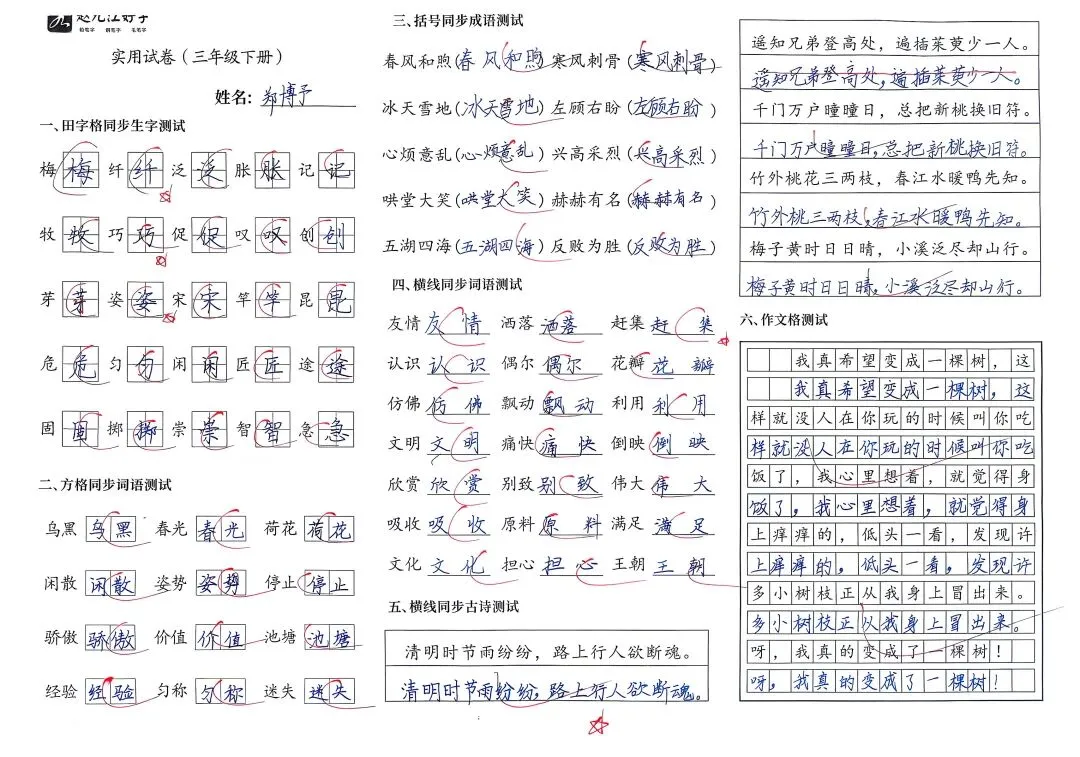 【赵九江好字】学员优秀实用试卷展示——二、三年级 第59张 【赵九江好字】学员优秀实用试卷展示——二、三年级 第59张