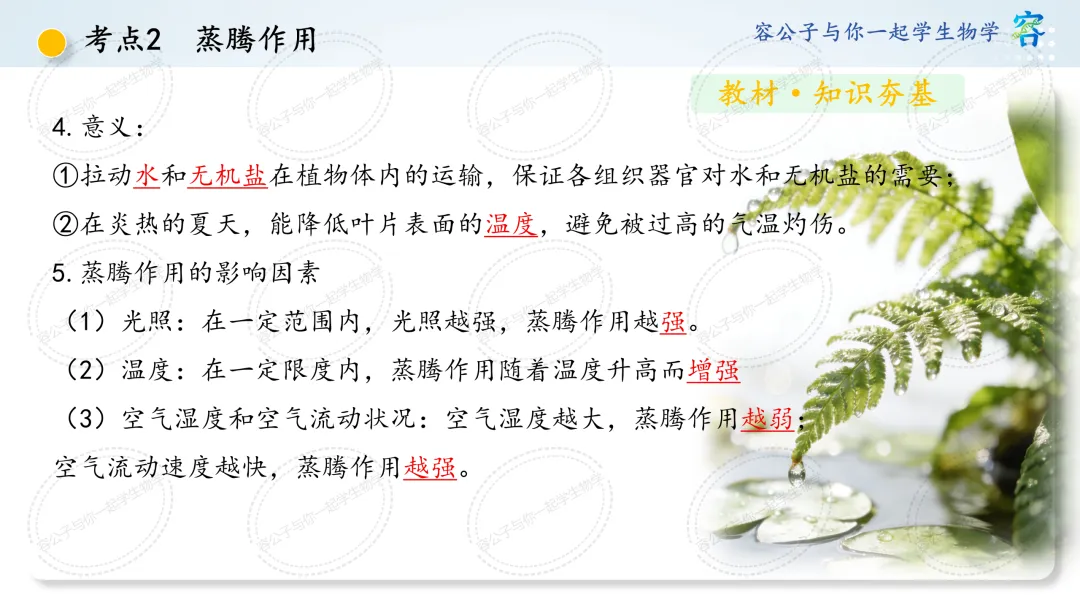 初中生物学中考一轮复习课件《第10讲 植物与生物圈中的水循环》 第20张