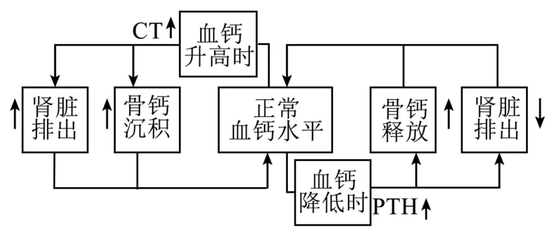 2025年广西省高考生物学真题和答案(附各省下载) ⊙ 第6张