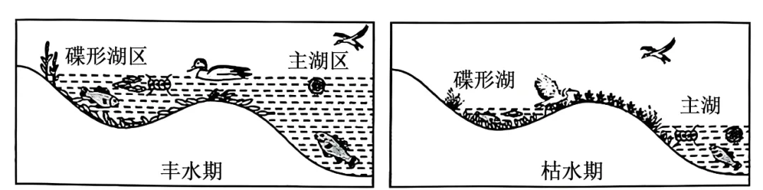 2025年广西省高考生物学真题和答案(附各省下载) ⊙ 第8张