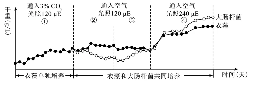 2025年广西省高考生物学真题和答案(附各省下载) ⊙ 第12张