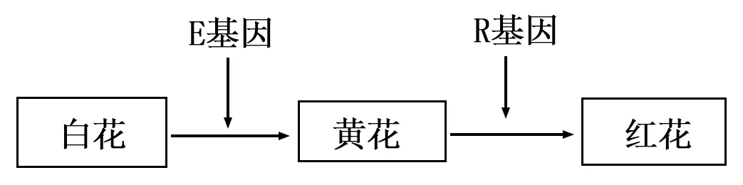 2025年广西省高考生物学真题和答案(附各省下载) ⊙ 第13张