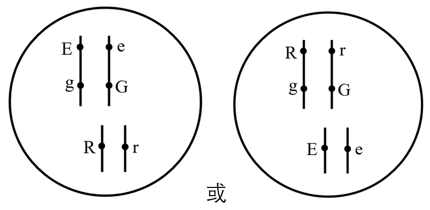 2025年广西省高考生物学真题和答案(附各省下载) ⊙ 第19张