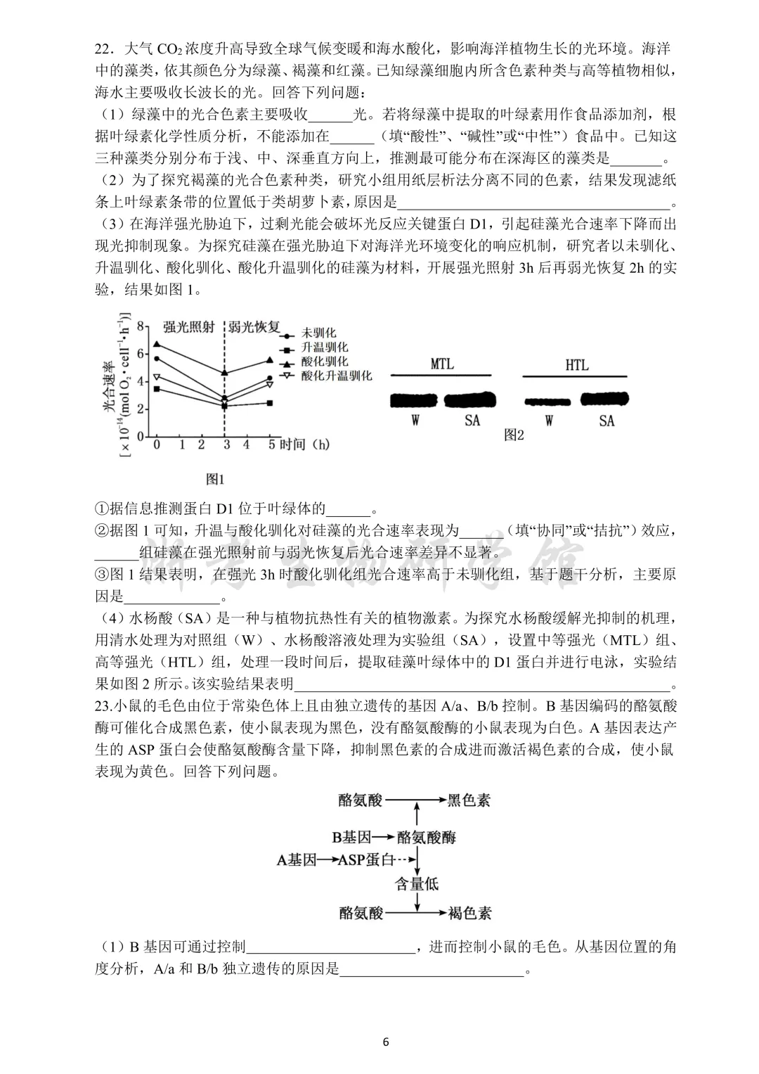 大题稍难|2605 浙江省镇海中学高三校模拟考试生物试卷、答案及解析 第8张