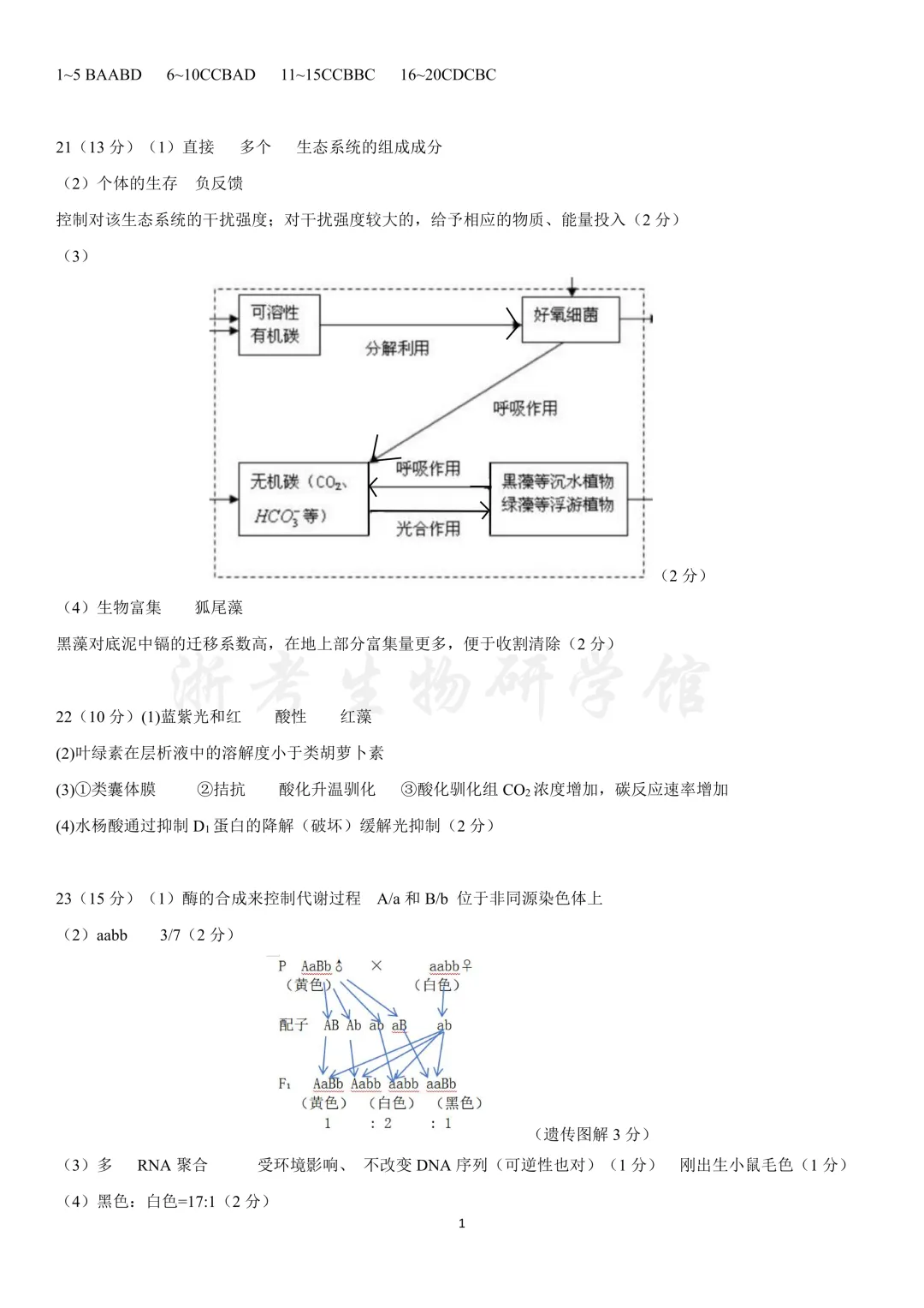 大题稍难|2605 浙江省镇海中学高三校模拟考试生物试卷、答案及解析 第11张