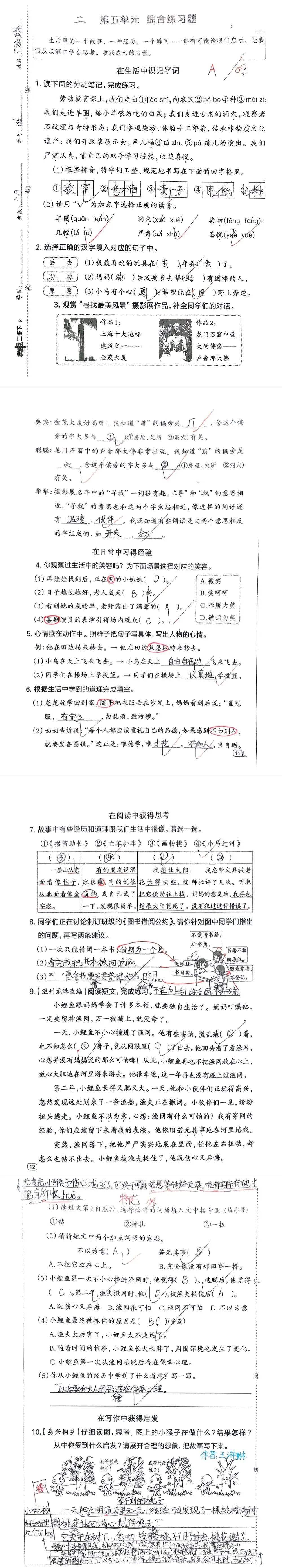 【单元试卷】第五单元精选试题3+答案(二年级下册) 第3张