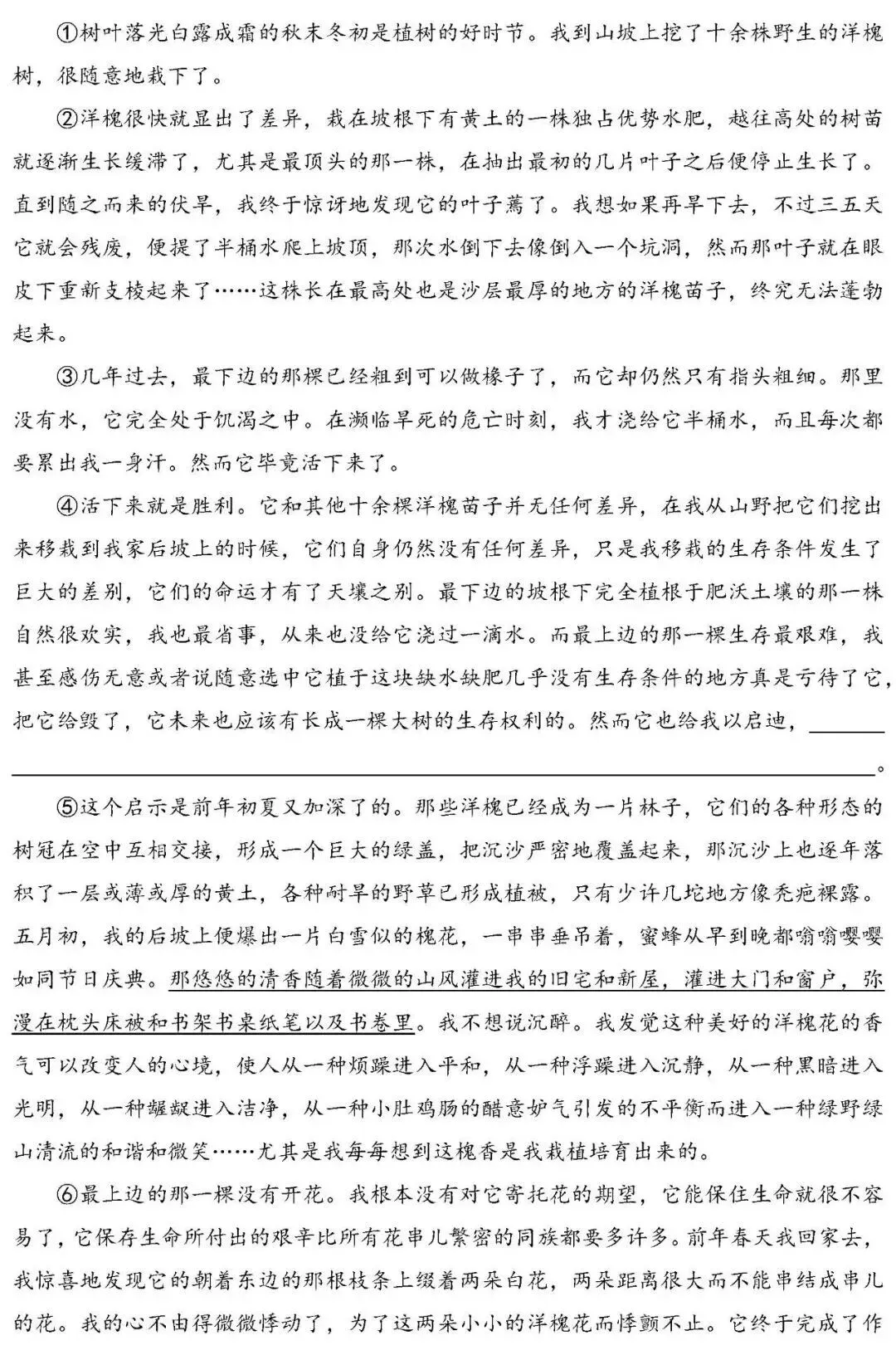 【冲刺26中考15】2026年深圳福田区中考语文一模试题(含答案)抓紧练!2026年5月-第9张图片-四季读书网 【冲刺26中考15】2026年深圳福田区中考语文一模试题(含答案)抓紧练!2026年5月-第9张图片-四季读书网