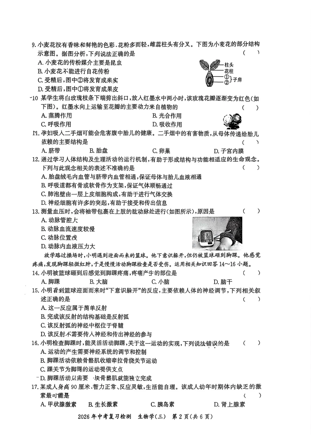 复习练手 ︳2026年湖南省初中学业水平考试模拟试卷生物学 (六) 第2张