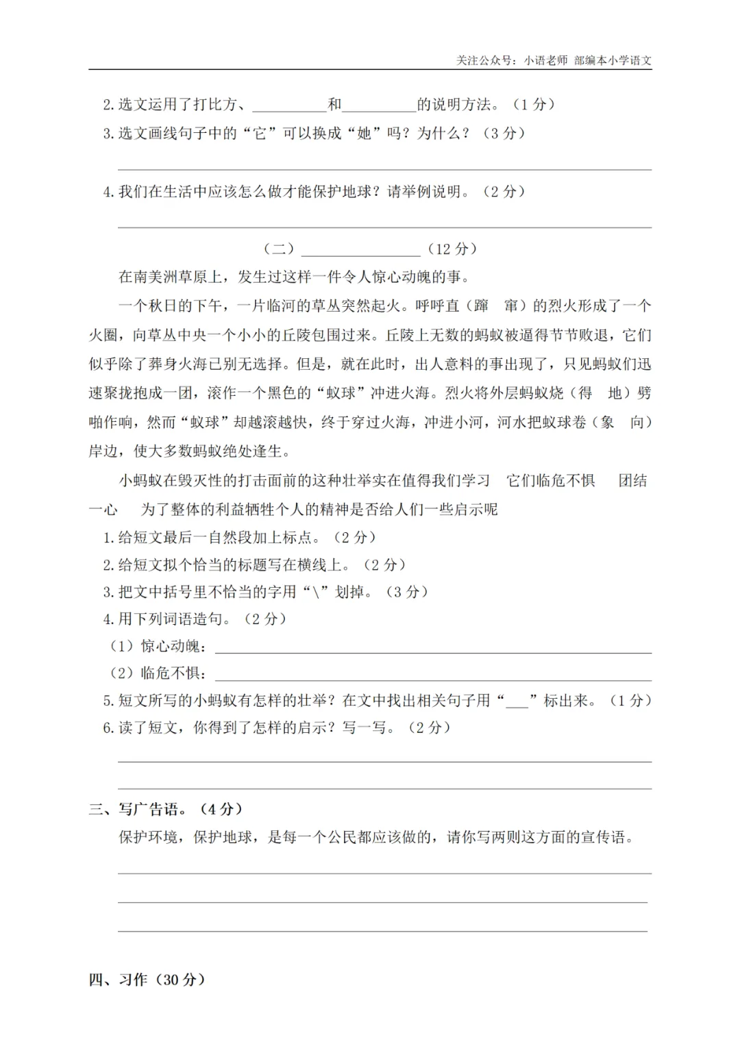 期末复习:6年级期末真题卷(4) 第4张
