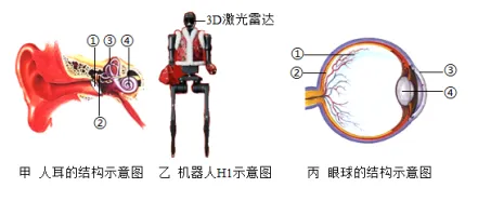 中考生物|热点情境03“2026年春晚机器人” 考查人体生理-第4张图片-四季读书网 中考生物|热点情境03“2026年春晚机器人” 考查人体生理-第4张图片-四季读书网