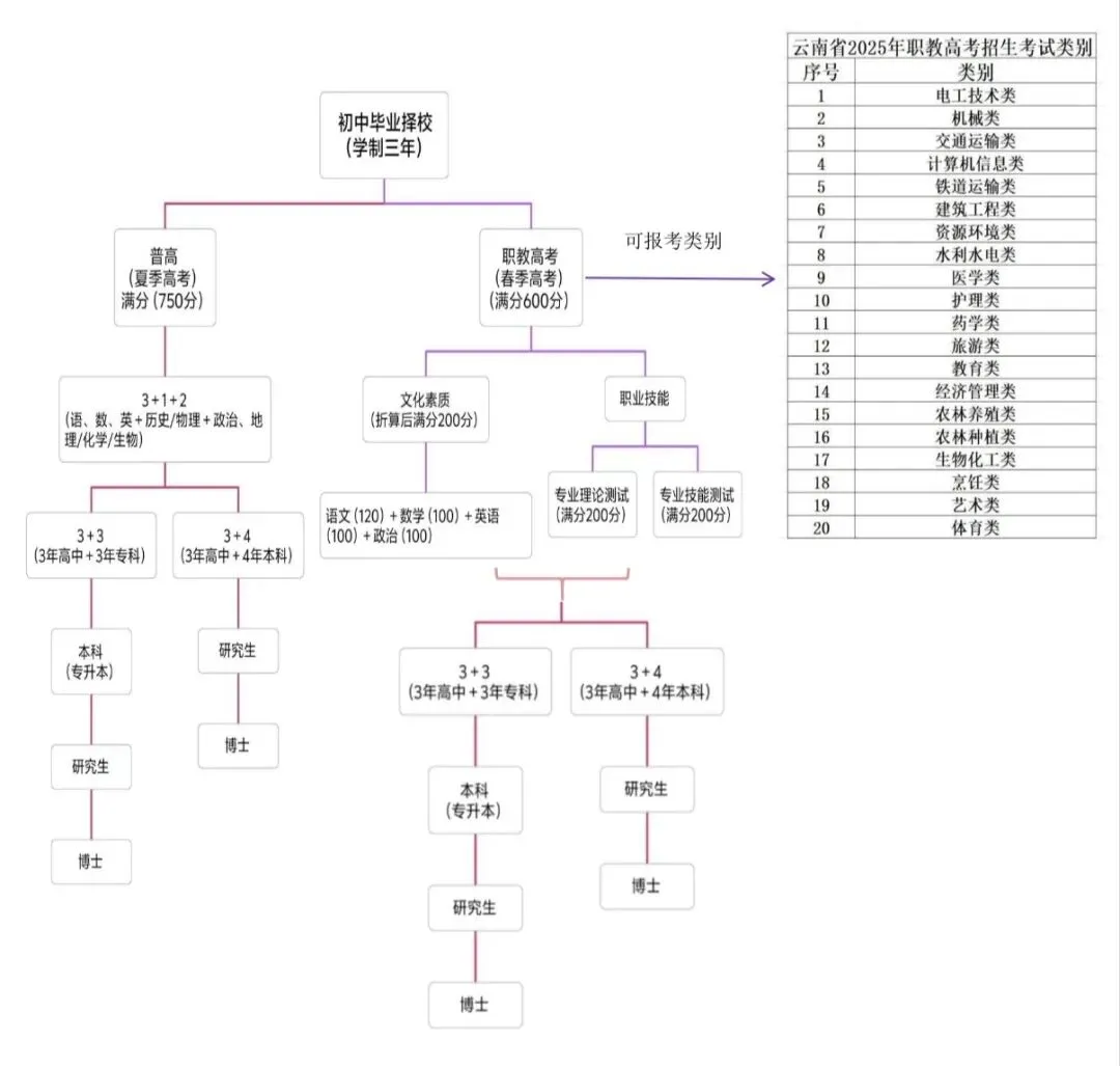 中考|云南中考升学全攻略!3+4、3+3、3+2怎么选?6大正规升学路径+避坑指南,家长必看 第12张