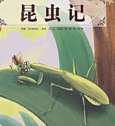 八年级下册语文名著《昆虫记》近五年中考真题汇总 第2张