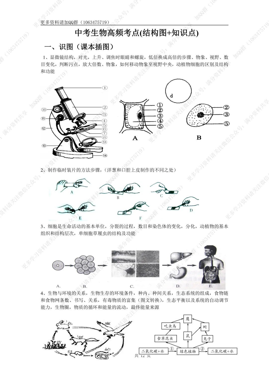 【初中生物】中考生物高频考点(结构图+知识点)(pdf分享) 第2张 【初中生物】中考生物高频考点(结构图+知识点)(pdf分享) 第2张