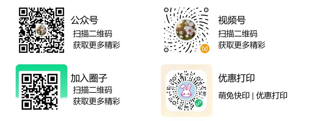 高考真题 | 每日一题(281) 第5张
