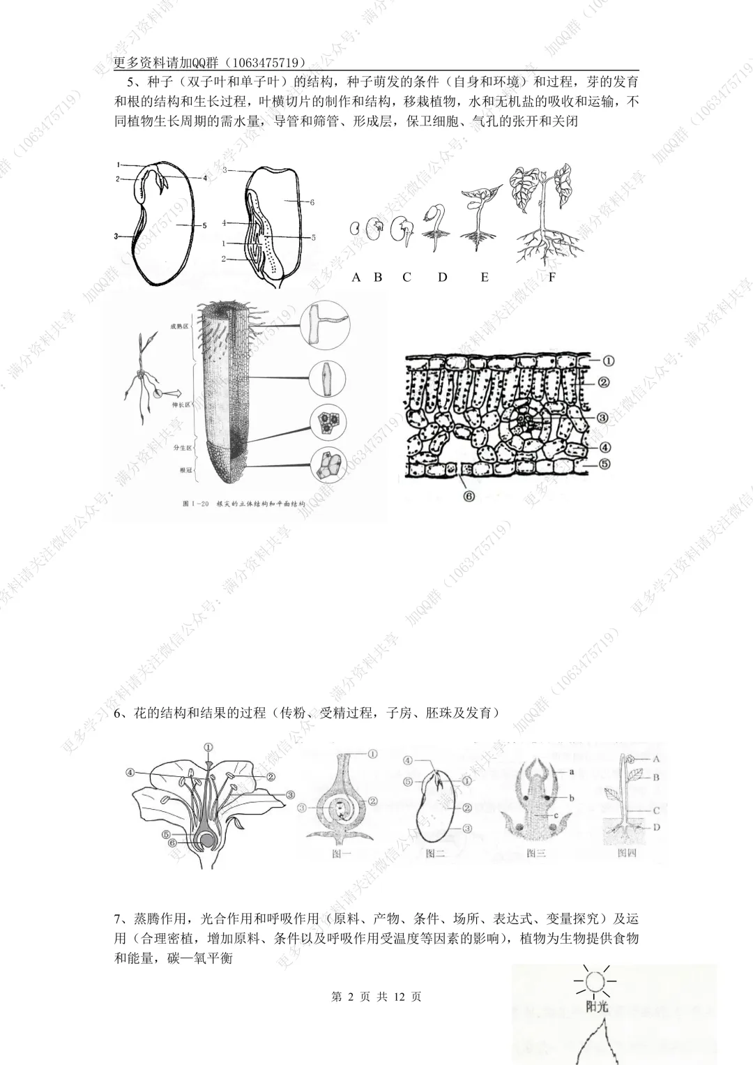 【初中生物】中考生物高频考点(结构图+知识点)(pdf分享) 第3张 【初中生物】中考生物高频考点(结构图+知识点)(pdf分享) 第3张