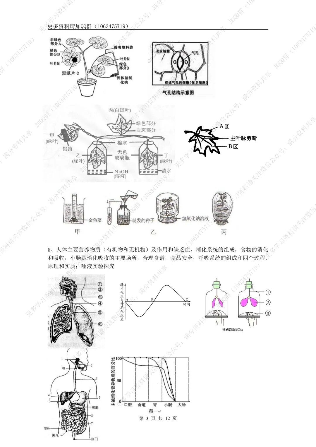 【初中生物】中考生物高频考点(结构图+知识点)(pdf分享) 第4张 【初中生物】中考生物高频考点(结构图+知识点)(pdf分享) 第4张