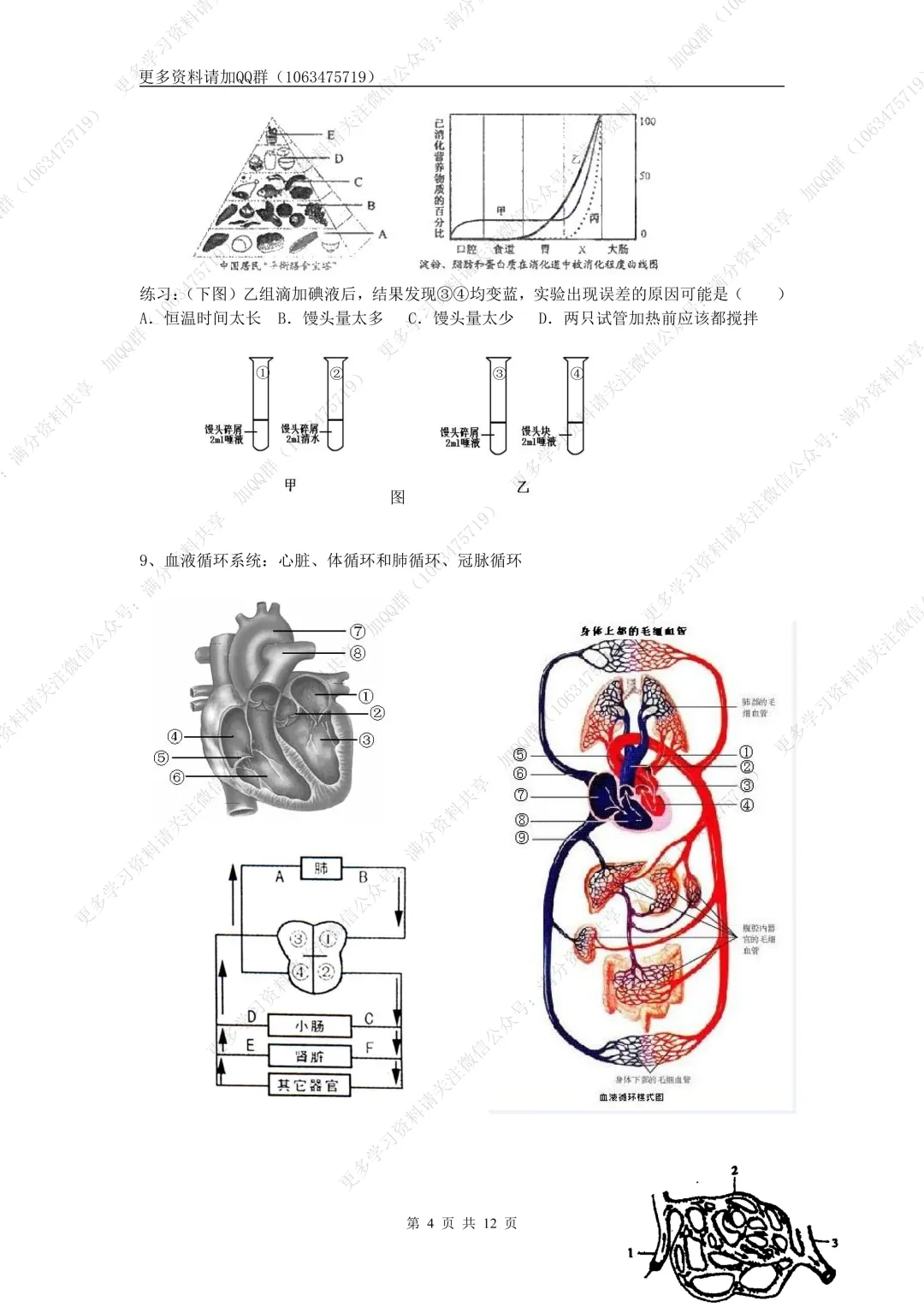 【初中生物】中考生物高频考点(结构图+知识点)(pdf分享) 第5张 【初中生物】中考生物高频考点(结构图+知识点)(pdf分享) 第5张