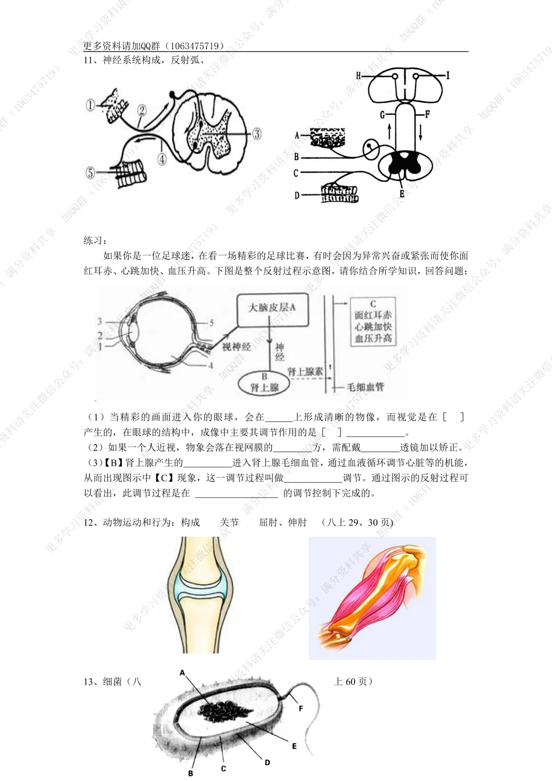 【初中生物】中考生物高频考点(结构图+知识点)(pdf分享) 第7张 【初中生物】中考生物高频考点(结构图+知识点)(pdf分享) 第7张