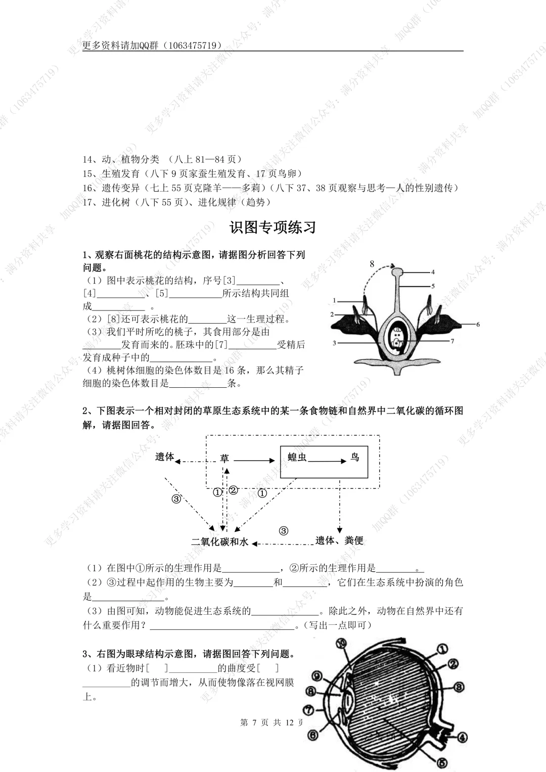 【初中生物】中考生物高频考点(结构图+知识点)(pdf分享) 第8张 【初中生物】中考生物高频考点(结构图+知识点)(pdf分享) 第8张