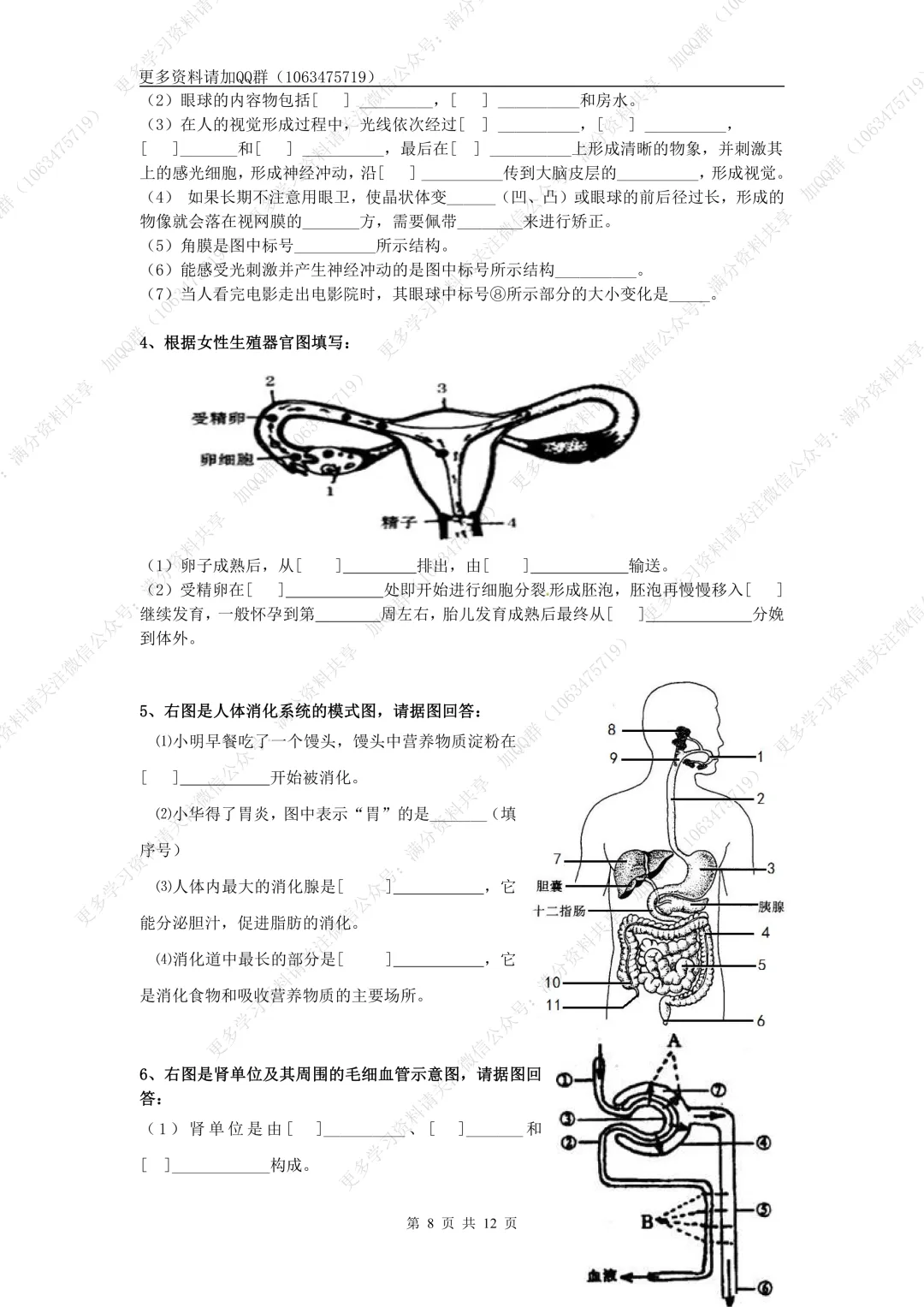 【初中生物】中考生物高频考点(结构图+知识点)(pdf分享) 第9张 【初中生物】中考生物高频考点(结构图+知识点)(pdf分享) 第9张