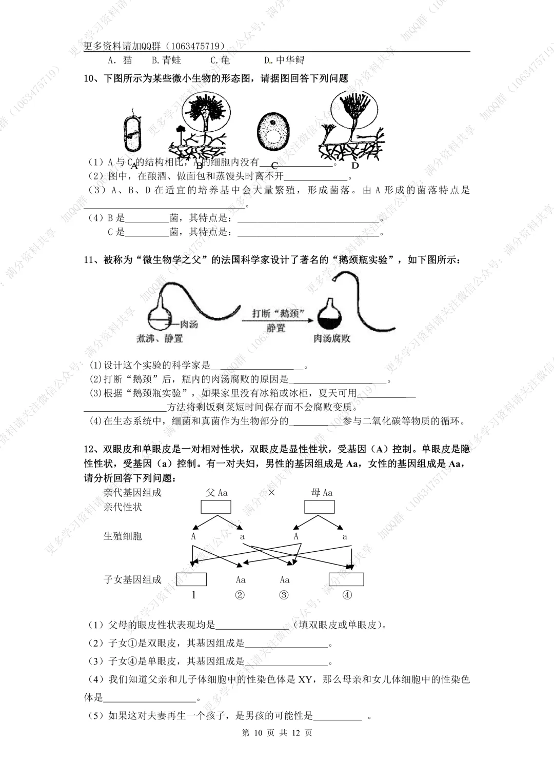 【初中生物】中考生物高频考点(结构图+知识点)(pdf分享) 第11张 【初中生物】中考生物高频考点(结构图+知识点)(pdf分享) 第11张