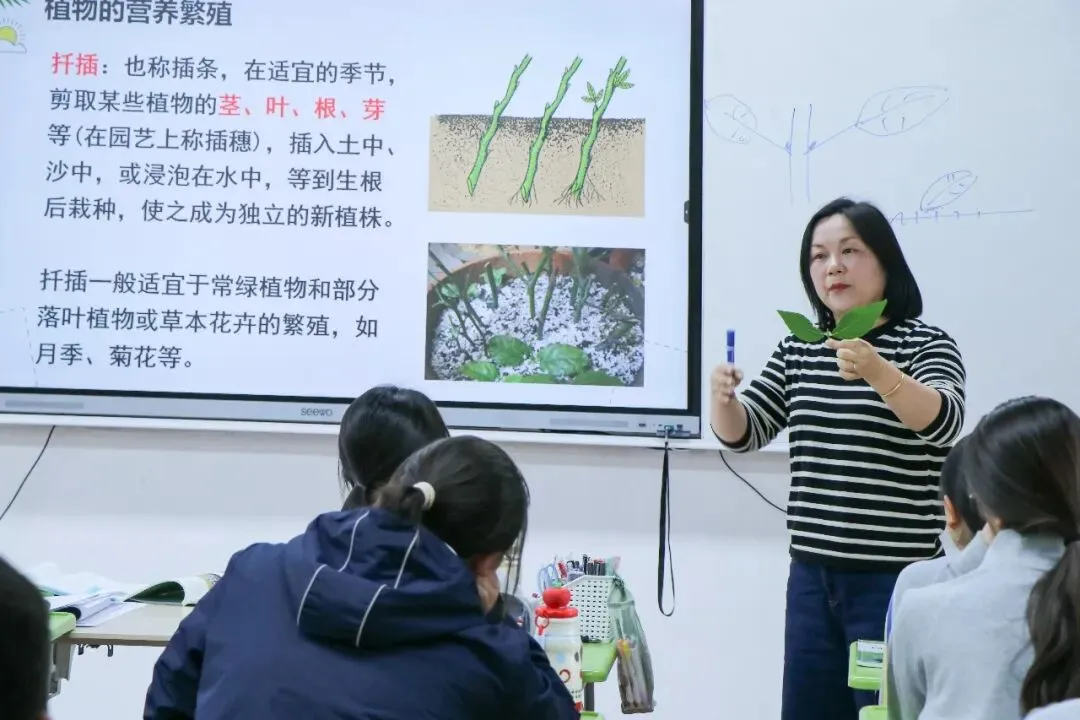 中考倒计时:不刷题不熬夜,真正拉开差距的,从来不是题海-第3张图片-四季读书网