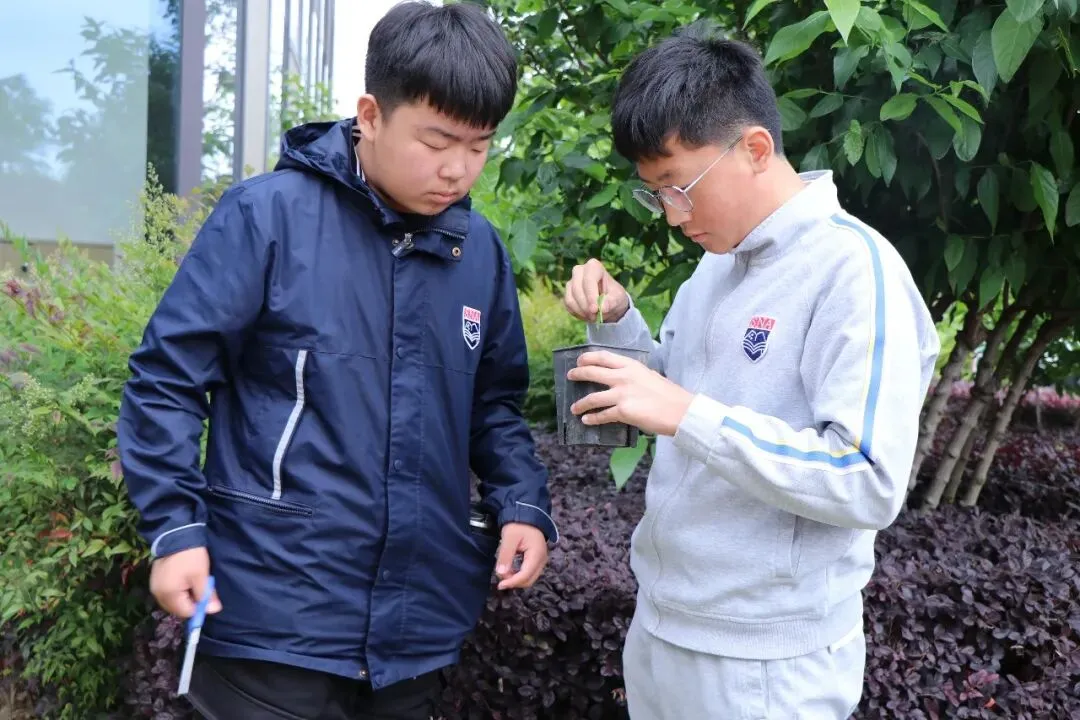 中考倒计时:不刷题不熬夜,真正拉开差距的,从来不是题海-第4张图片-四季读书网