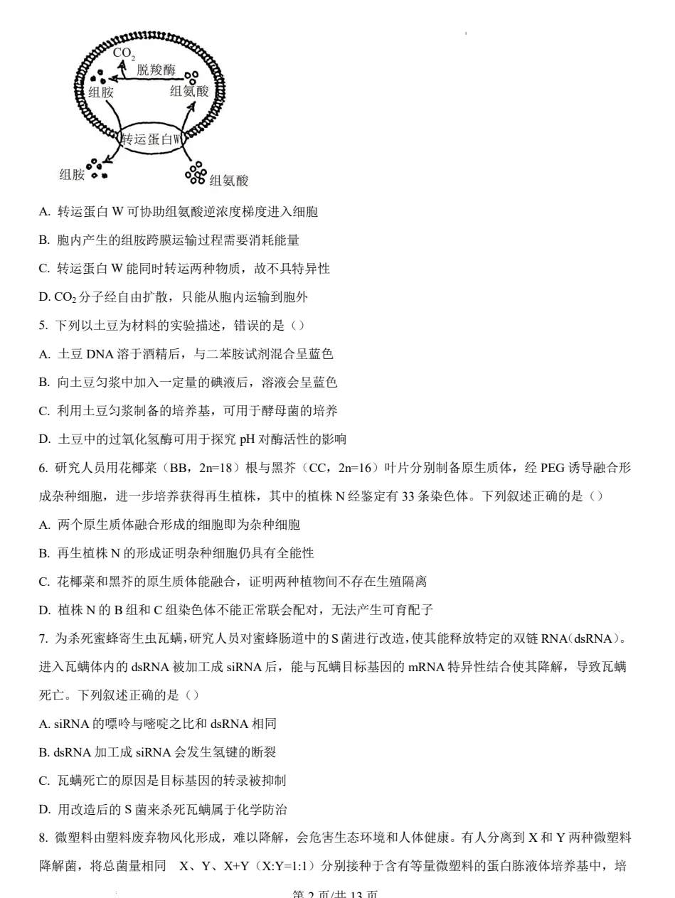 2025四川高考真题+答案,含历年真题集,超全!(PDF完整版下载) 第5张
