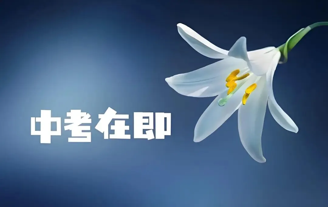 中考在即,我心急如焚 第1张 中考在即,我心急如焚 第1张