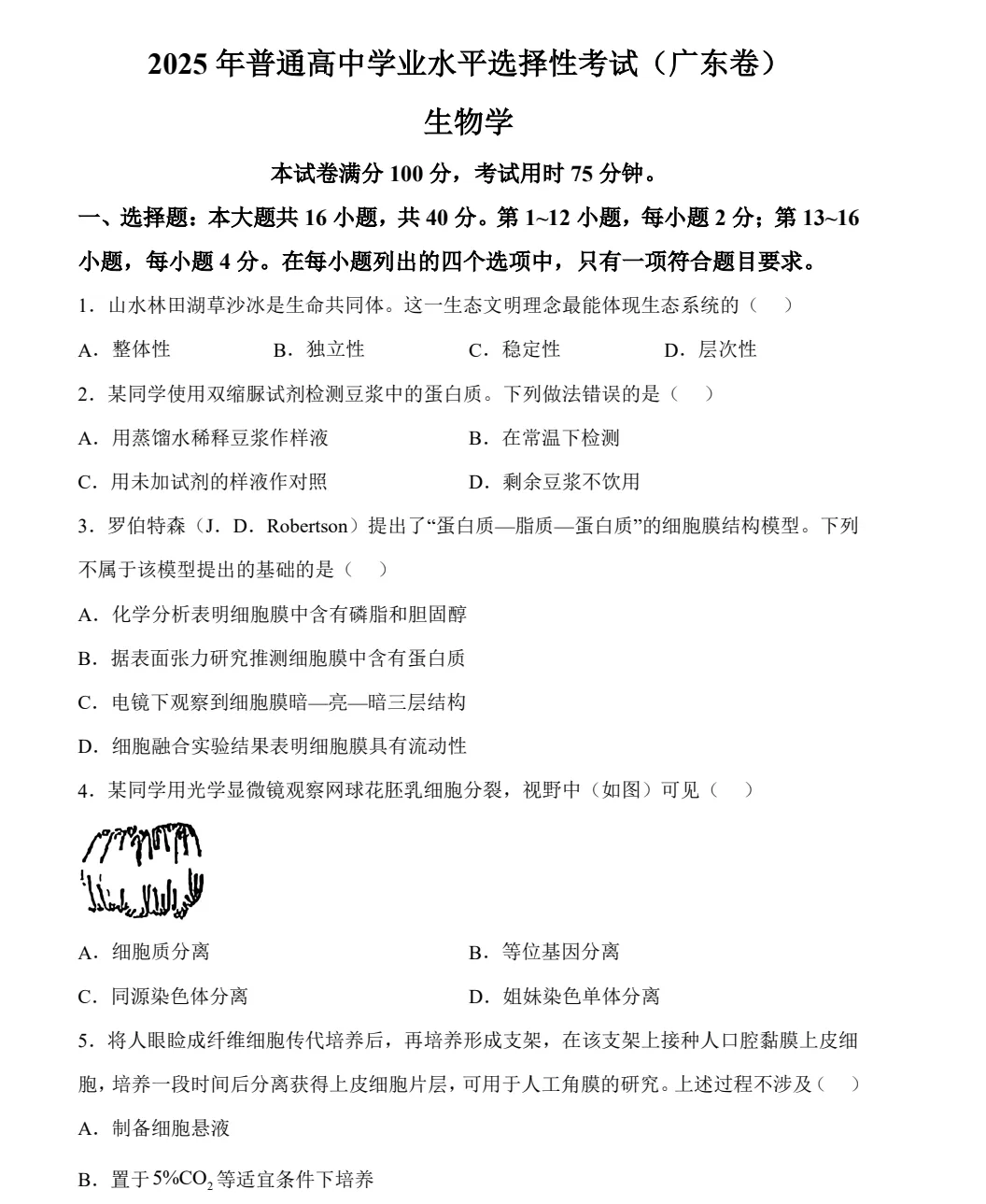 2025广东高考真题+答案,含历年真题集,超全!(PDF完整版下载) 第4张