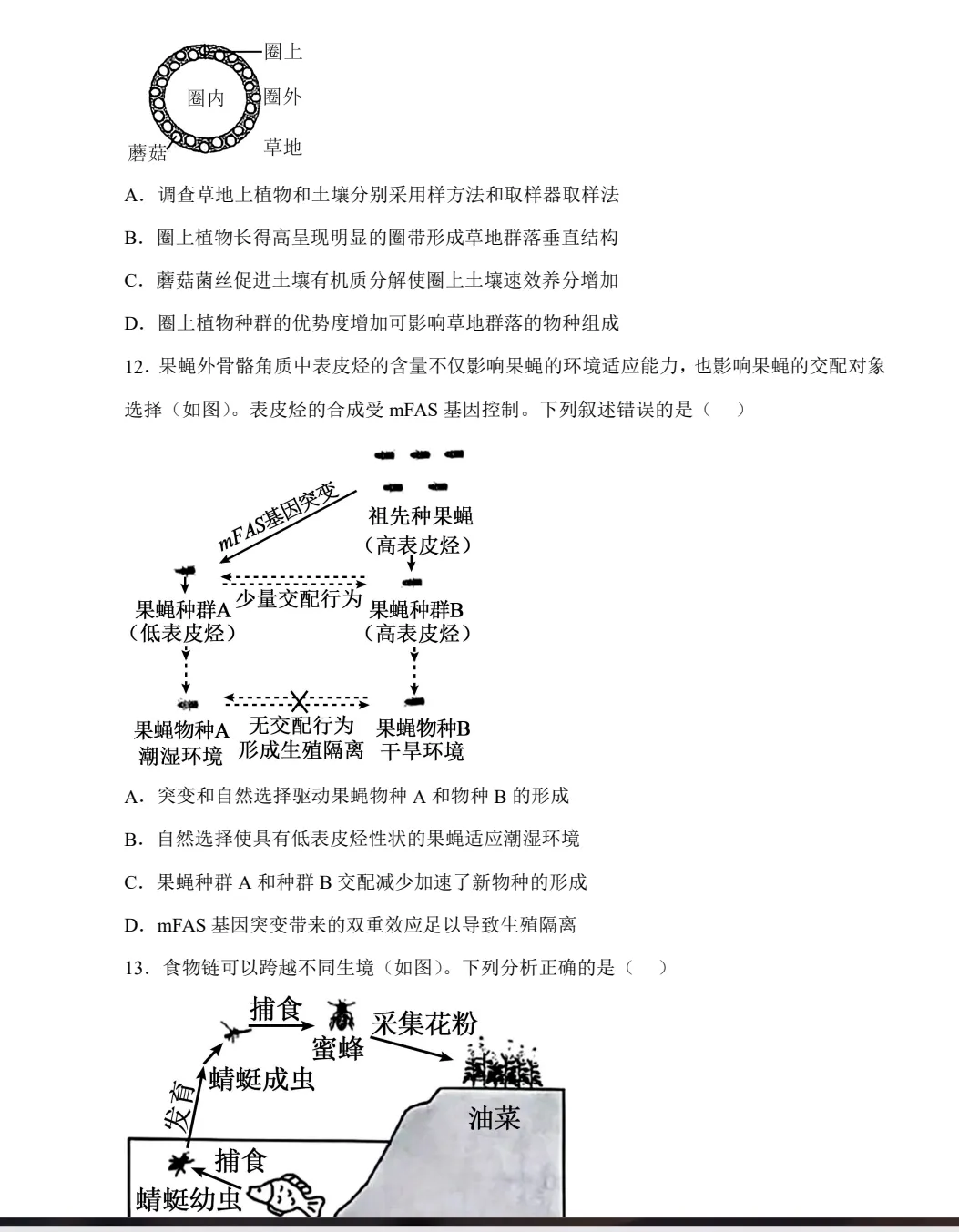 2025广东高考真题+答案,含历年真题集,超全!(PDF完整版下载) 第6张