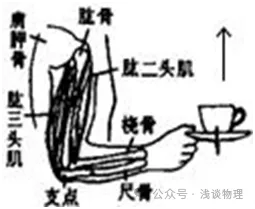 中考物理“跨学科融合”专题 第2张 中考物理“跨学科融合”专题 第2张