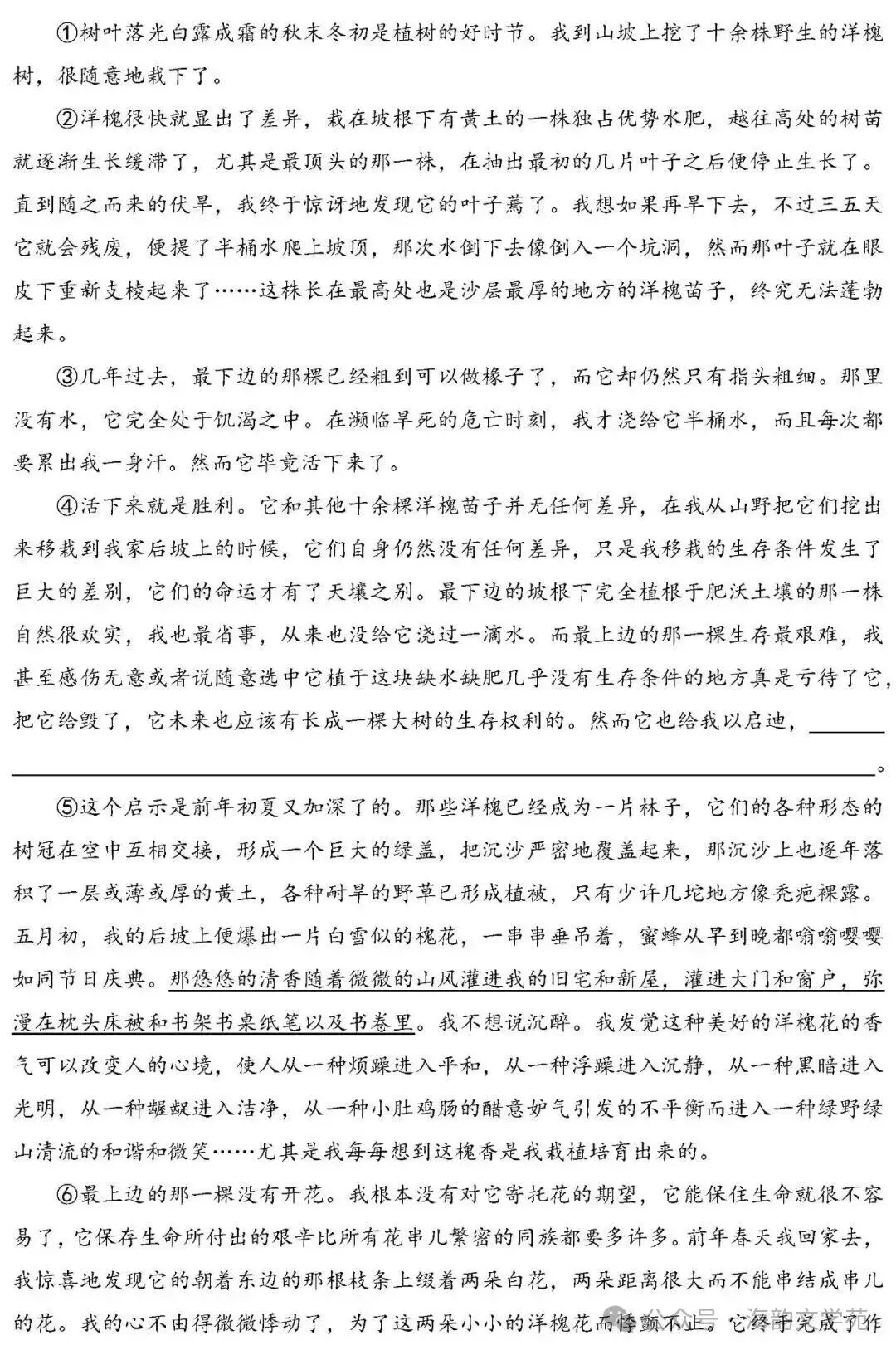 2026年深圳福田区中考一模试卷语文试题 第9张