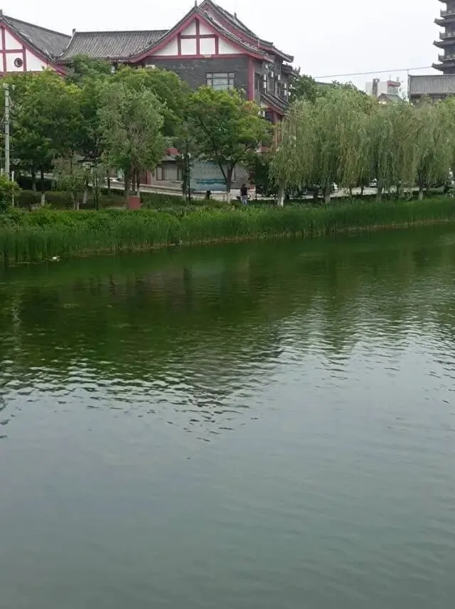 26真题:普法宣传活动效果不佳,形式过于刻板,你如何有效组织? 第2张