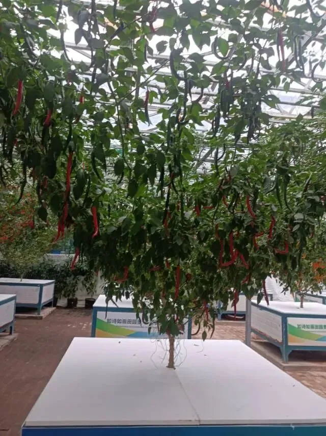 26真题:普法宣传活动效果不佳,形式过于刻板,你如何有效组织? 第4张