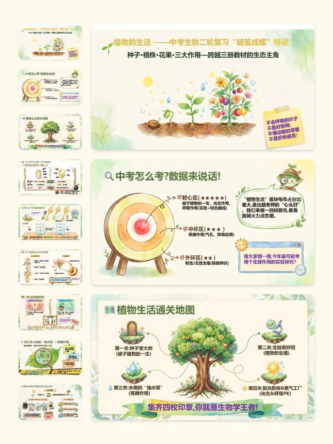 中考生物终极复习课件:主题四 植物的生活 第3张