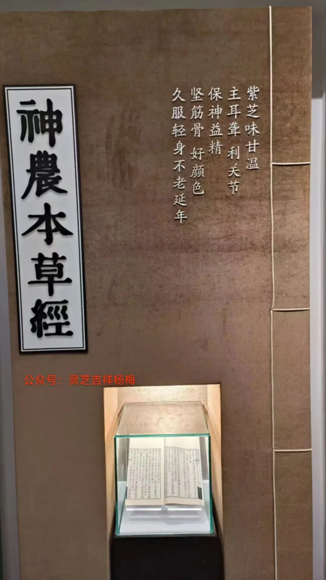 中考倒计时|最深的助力,是让孩子好好睡觉 第4张