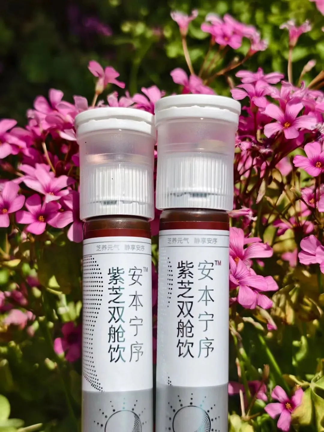 中考倒计时|最深的助力,是让孩子好好睡觉 第5张